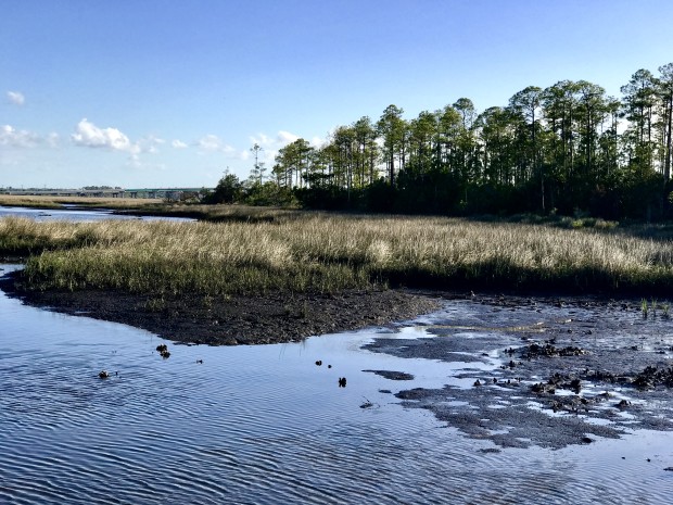 Dutton Island Preserve…